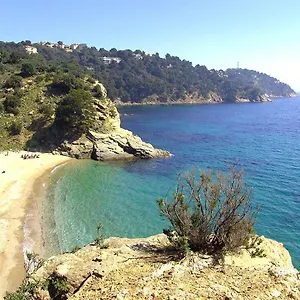  Appartement Ti Sable Climatisé, Jolie Vue Mer, Piscine à Sur